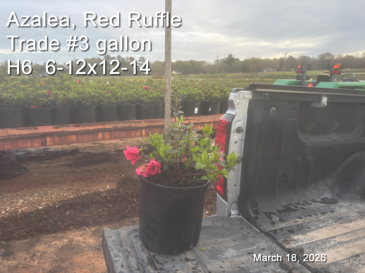 gallery/rr3t h6 mar18.jpg